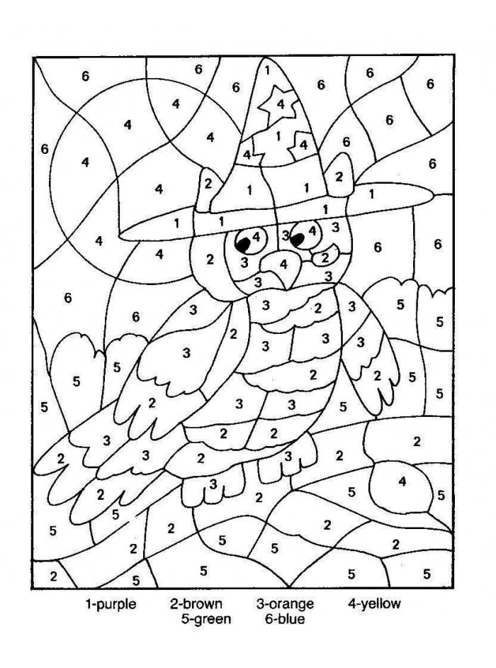 Owl Color By Number Coloring Picture