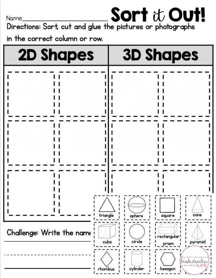 sort 2d and 3d shapes worksheets 99worksheets