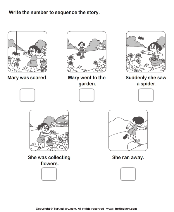 Picture Sequence Worksheets