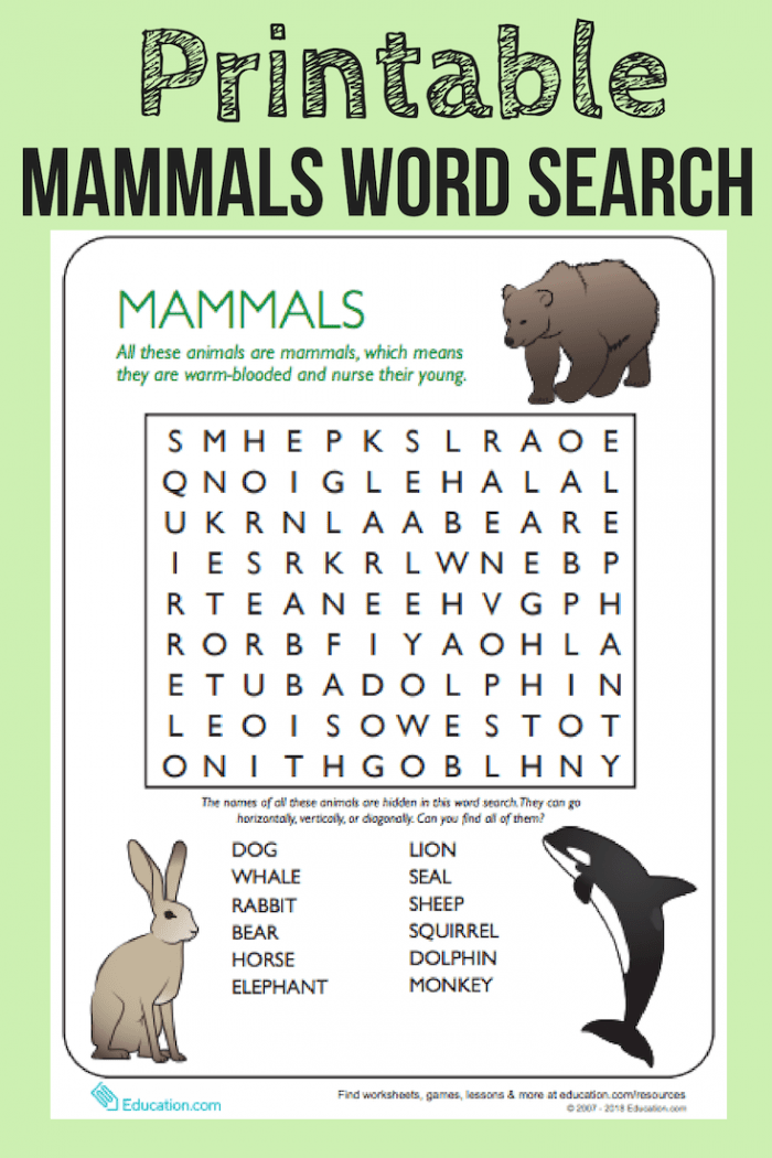 Animal Word Search: Mammals Worksheets | 99Worksheets