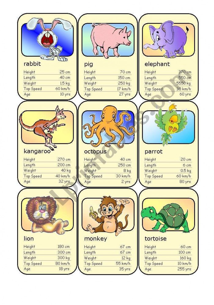 Animal Card Game  Worksheet