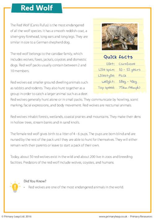 Animals Endangered Species Printable Themed Resources
