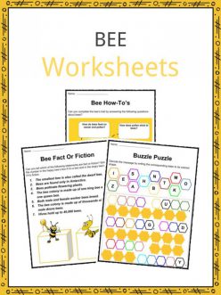 Bee Science!