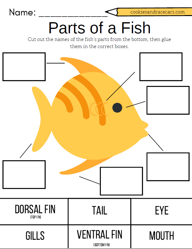 Fish Worksheet Pack