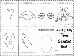 Your Five Senses: Matching 1