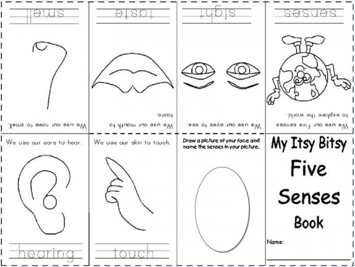 your five senses matching 1 worksheets 99worksheets
