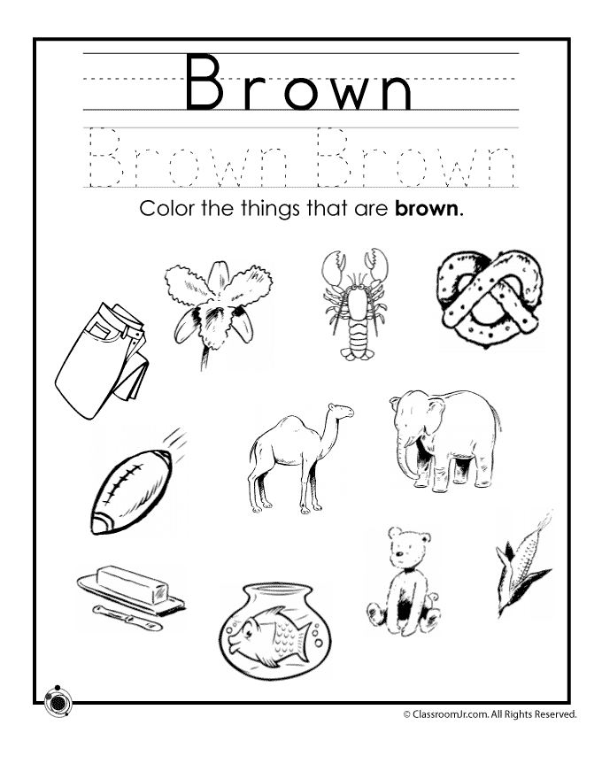 Color Brown Worksheet