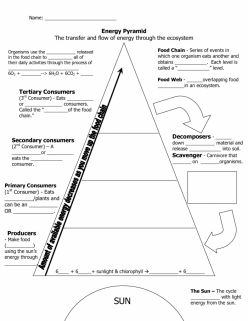 Energy Pyramid