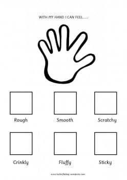 Senses And Feelings