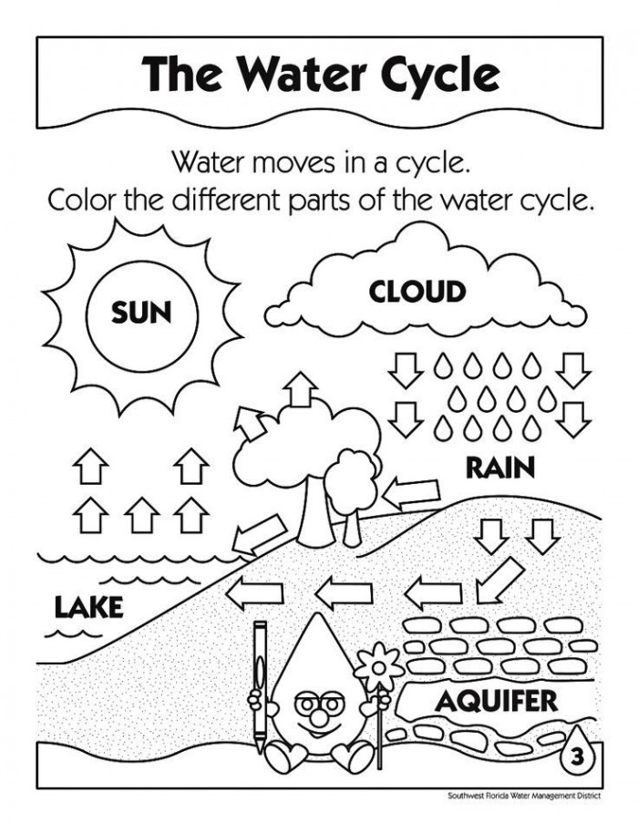 Photosynthesis Coloring Page Worksheets 99Worksheets
