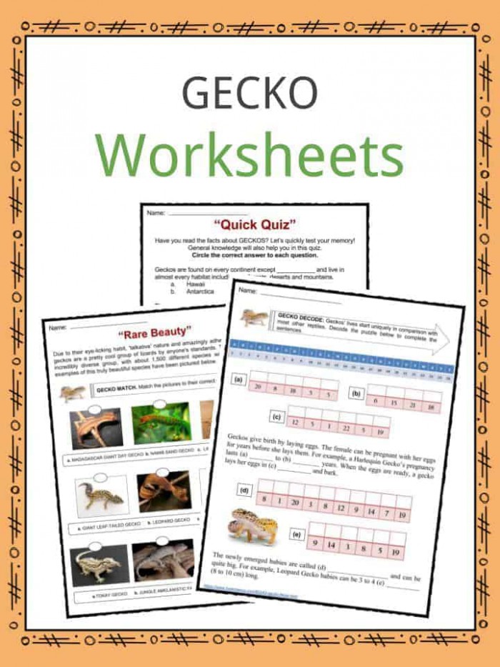 Gecko Facts  Worksheets  Species  Habitat   Information For Kids