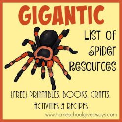 Cutting Zigzag Lines: Itsy Bitsy Spider