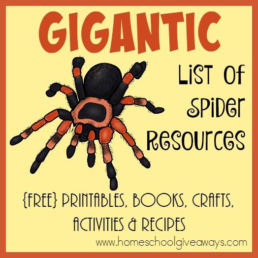 Gigantic List Of Spider Resources  Links