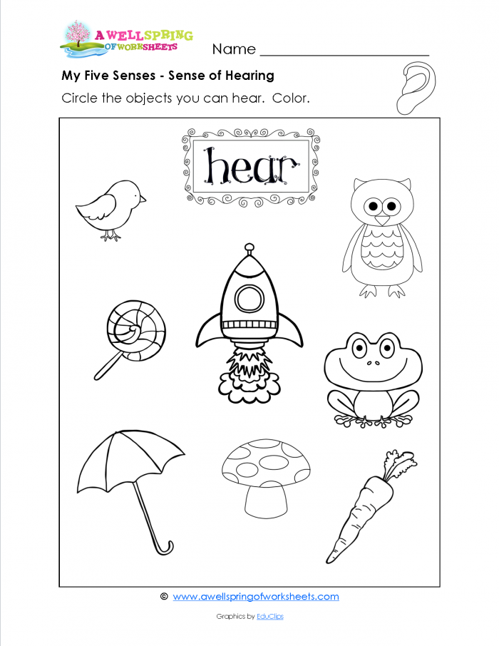 sense-of-hearing-worksheets-99worksheets