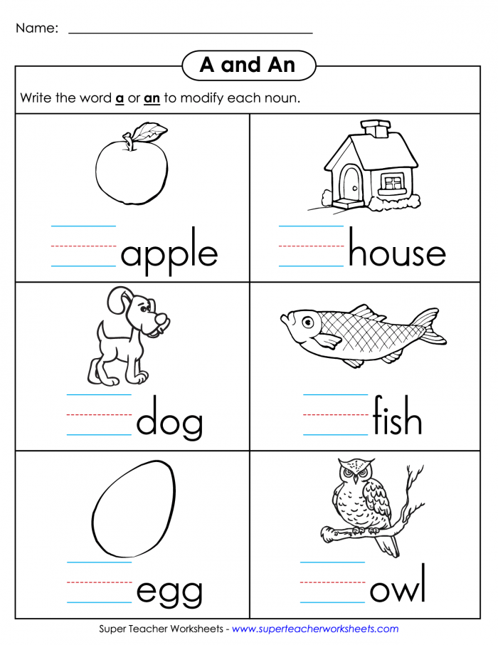 Indefinite Articles A And An Worksheet