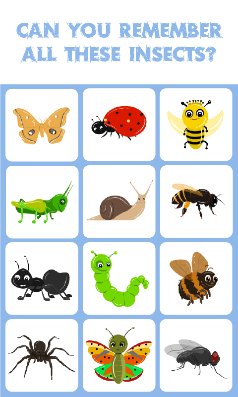 memory-matching-game-insects-worksheets-99worksheets