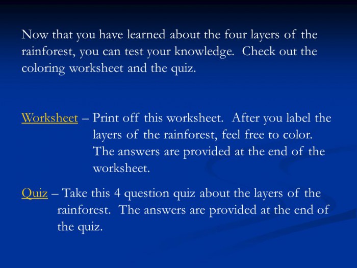 Layers Of The Rainforest