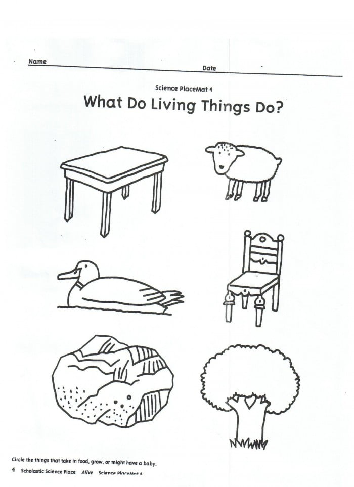 drawing-living-and-non-living-things-worksheets-99worksheets