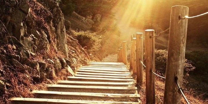 Mindfulness Exercises  Techniques   Activities For Adults  Pdfs