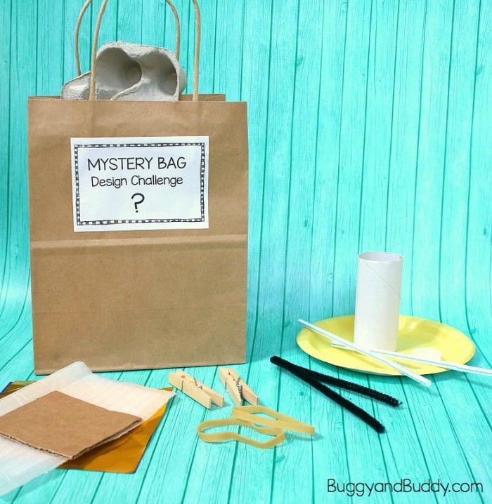 Mystery Bag Stem Design Challenge With Free Printable Challenge