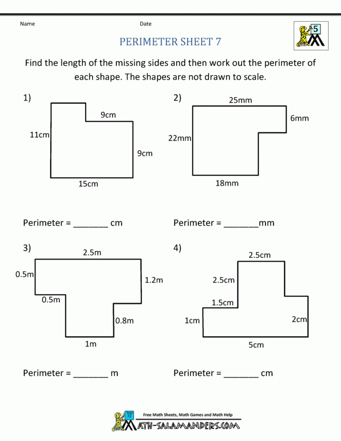 Perimeter Worksheets