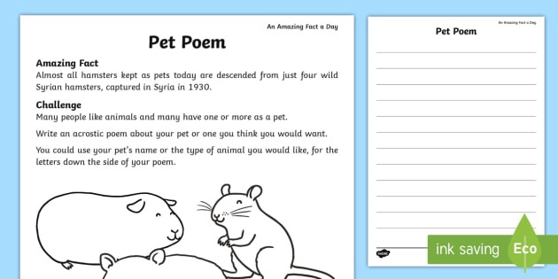 Pets Acrostic Poem Worksheet  Worksheet Teacher Made
