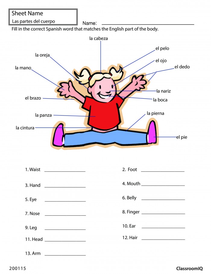 body-parts-in-spanish-worksheets-99worksheets