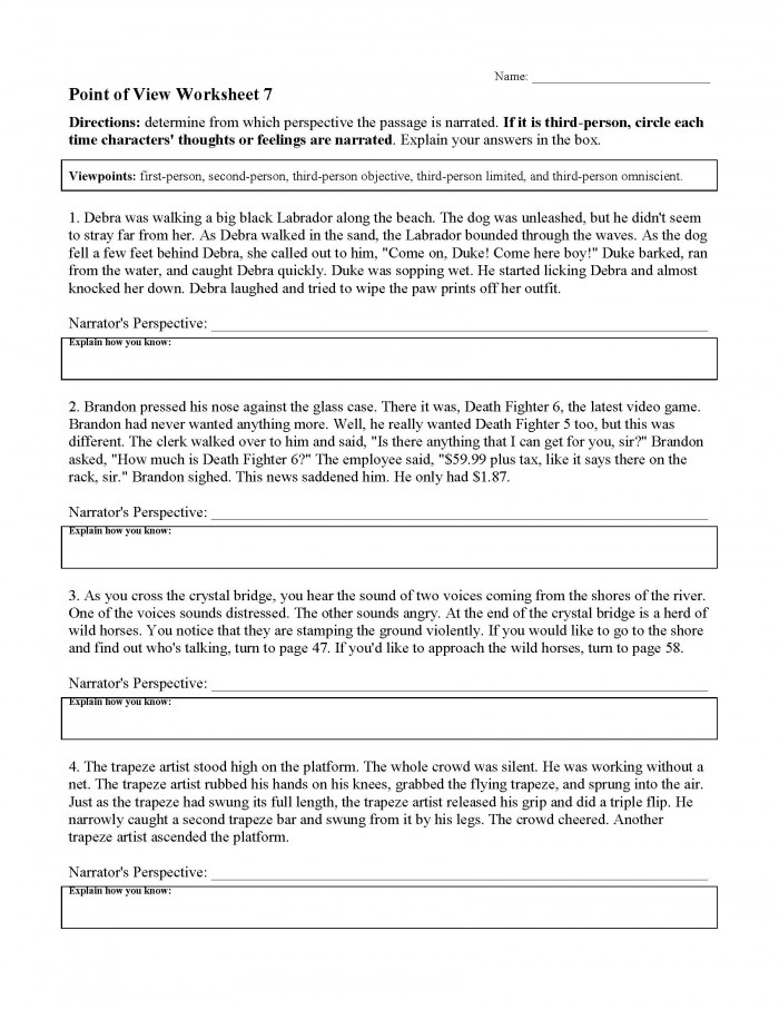 Point Of View Worksheet