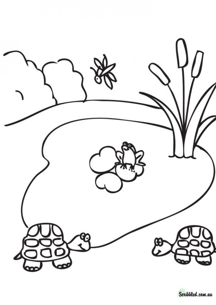Pond Life Coloring Pages