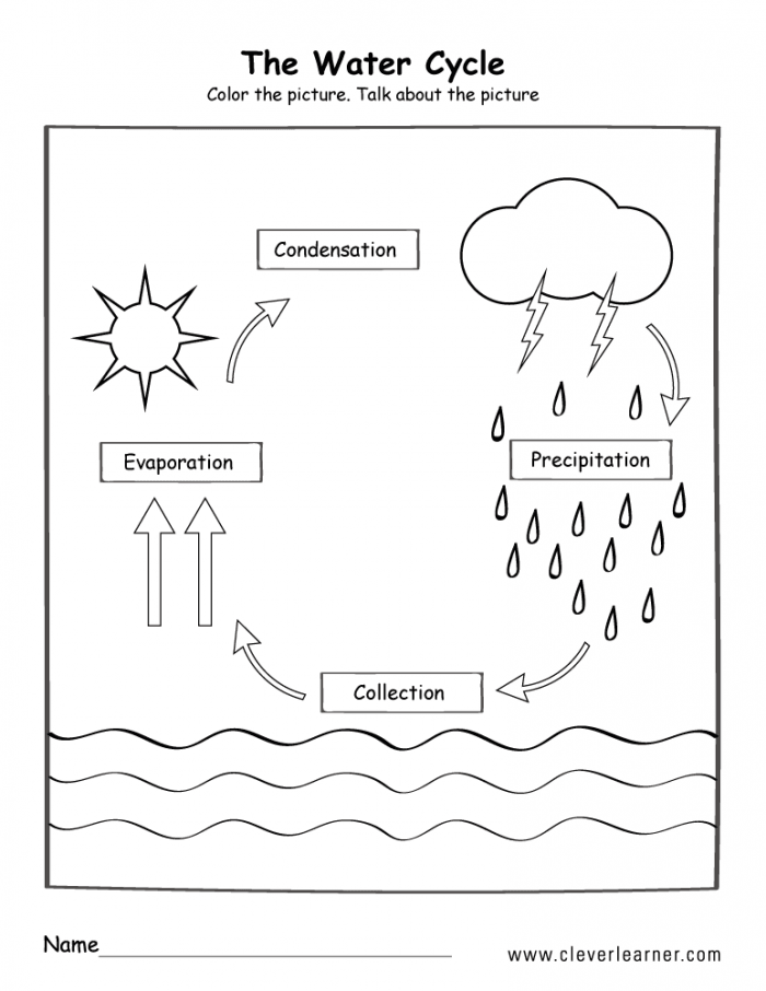 Water Cycle Diagram Worksheets 99Worksheets