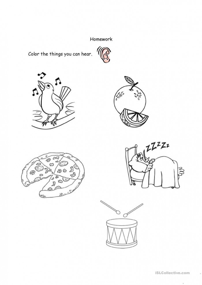 Sense Of Hearing