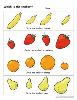 Smallest Or Biggest?