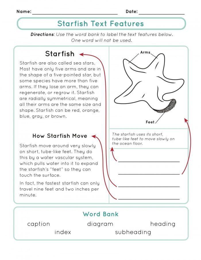 Nonfiction Text Features Worksheets | 99Worksheets