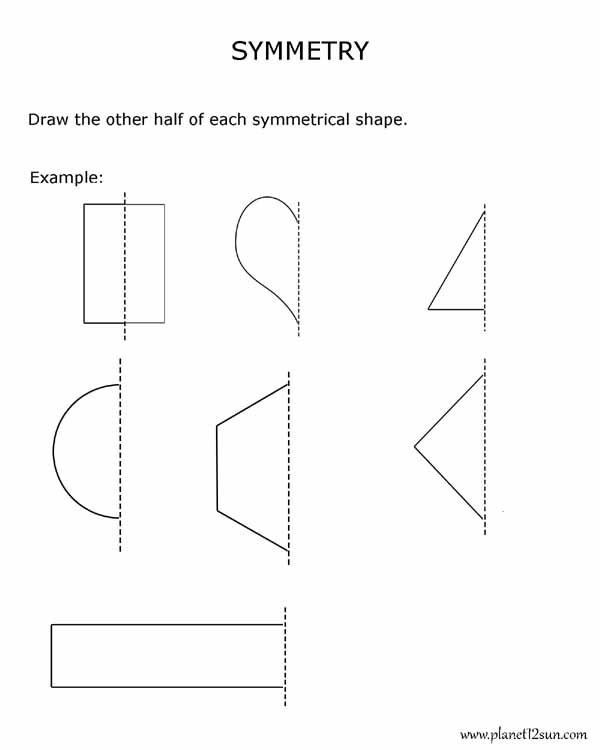 symmetry-quiz-worksheets-99worksheets