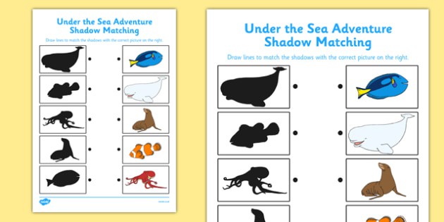 Under The Sea Adventure Shadow Matching Worksheet  Worksheet