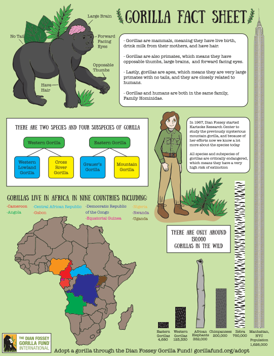 Want To Brush Up On Your Gorilla Knowledge Check Out Our Fact