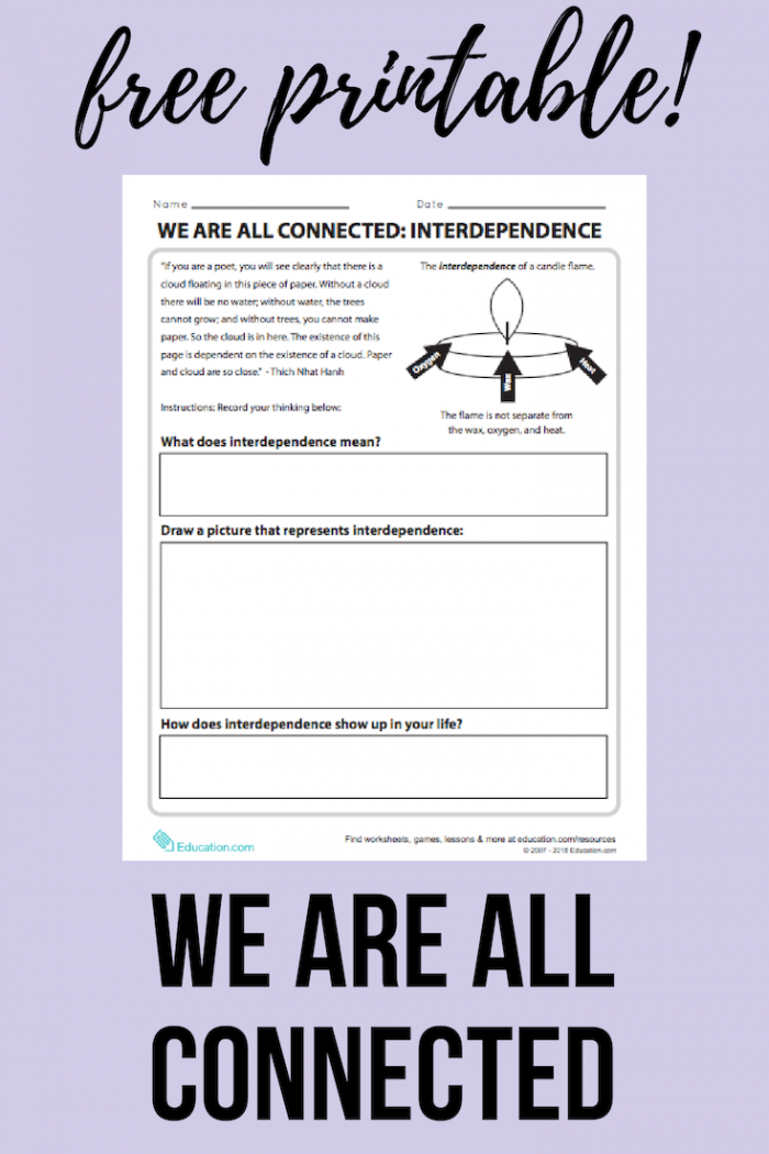 We Are All Connected Interdependence