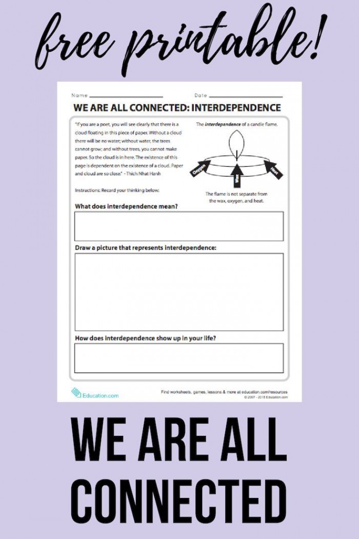 We Are All Connected Interdependence
