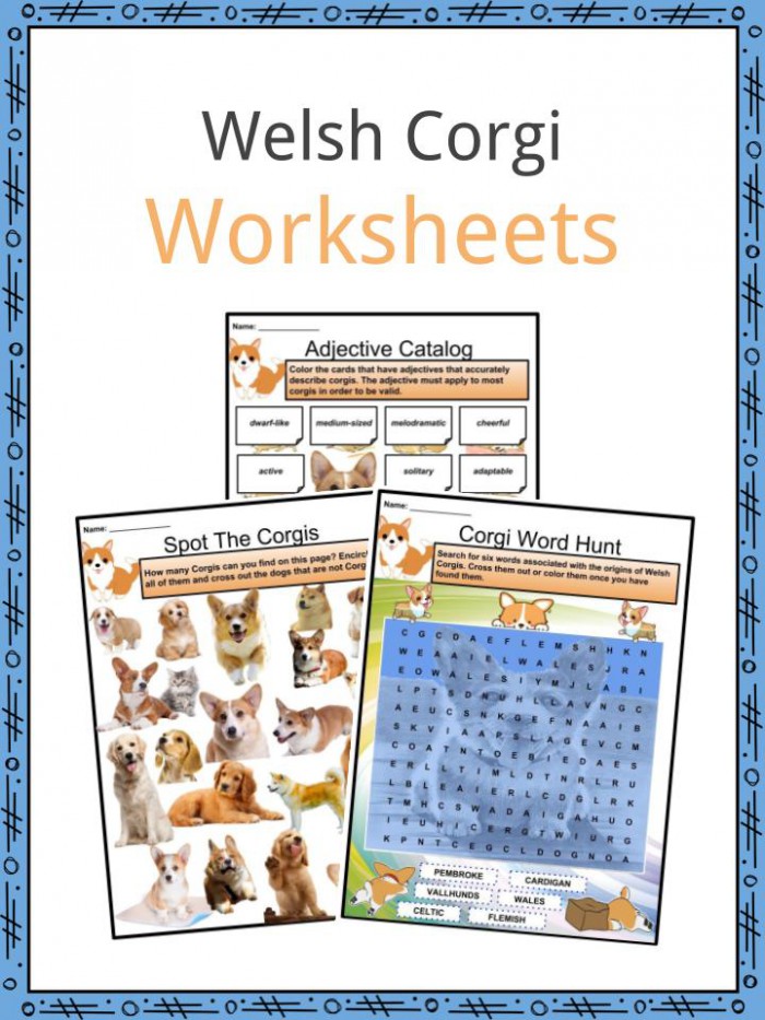 Welsh Corgi Facts  Worksheets  Behavior   Appearance For Kids