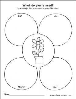What Do Plants Need?