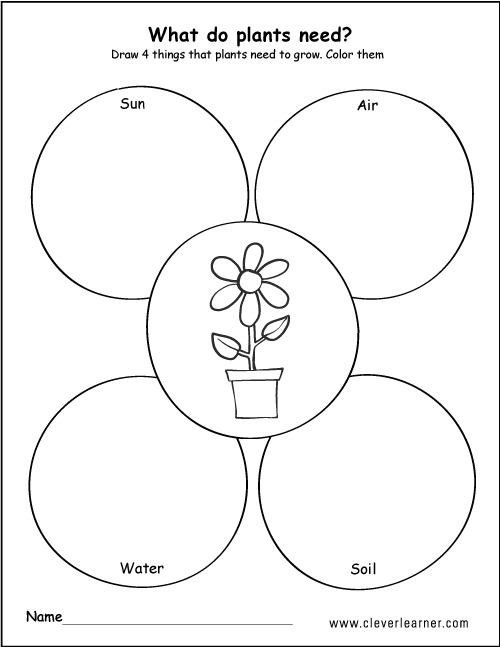 what-do-plants-need-worksheets-99worksheets