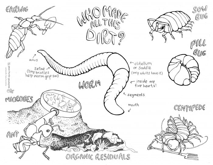 Who Made All This Dirt Illustrated Page Guide To Compost Critters