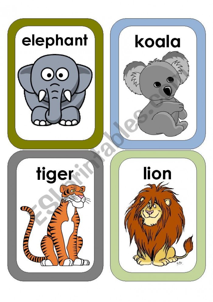 Wild Animals Flash Cards