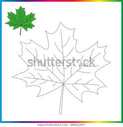 Maple Tree Coloring Page