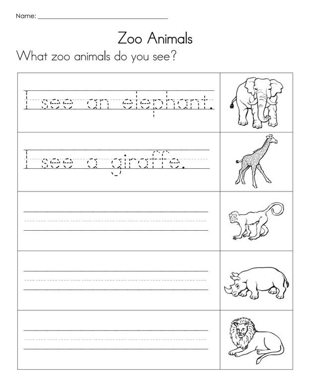 Animal Worksheet New  Animal Writing Worksheet