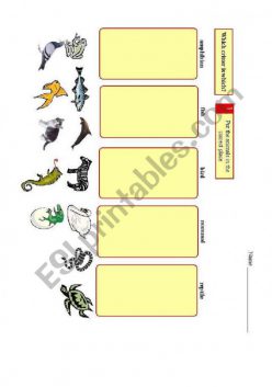 Critter Classification: Amphibians