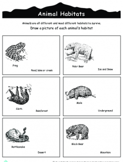 Animal Habitats For Kids
