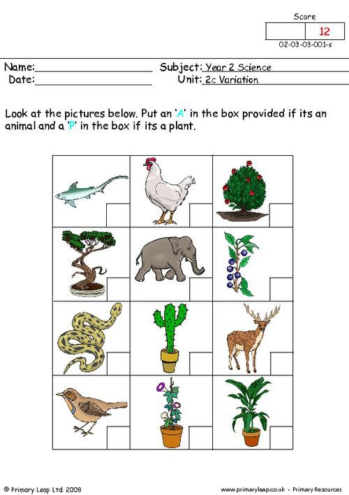 Plants And Animals Worksheets | 99Worksheets