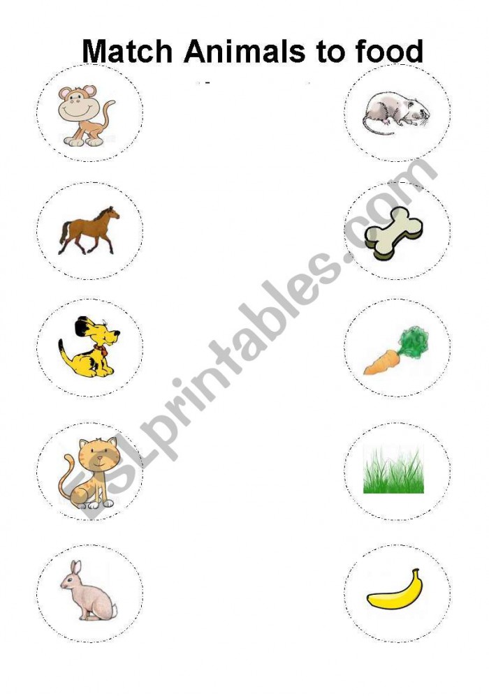 food animals eat worksheets 99worksheets