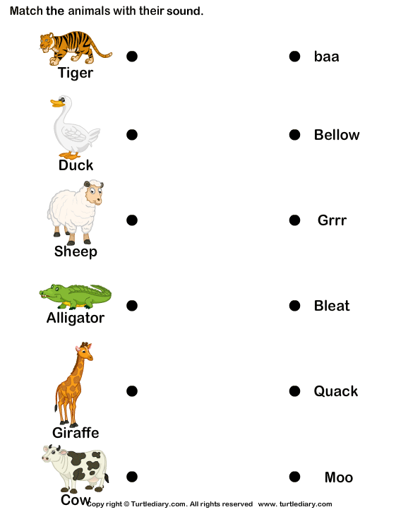 Animals And Sounds For Kids Worksheet